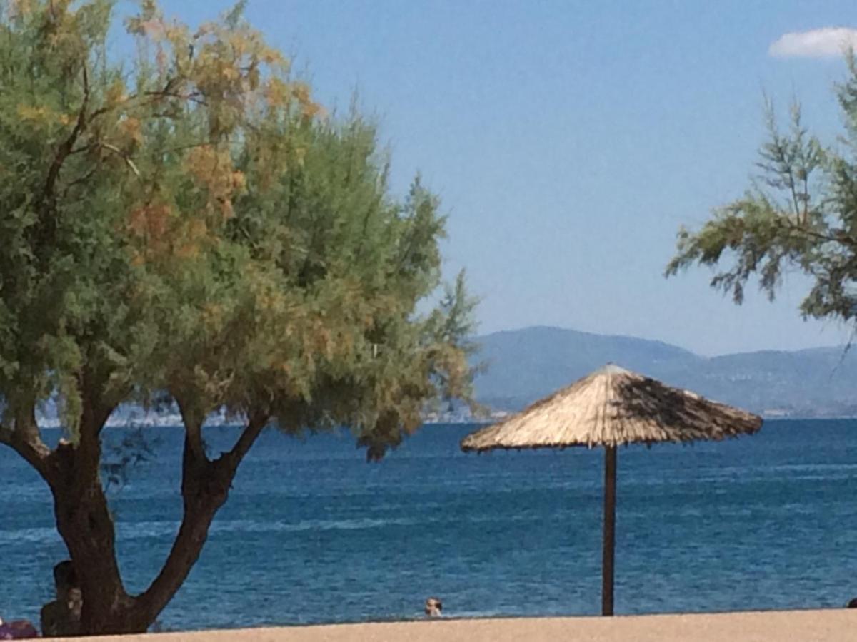 Poseidon Hotel Chalkida Zewnętrze zdjęcie